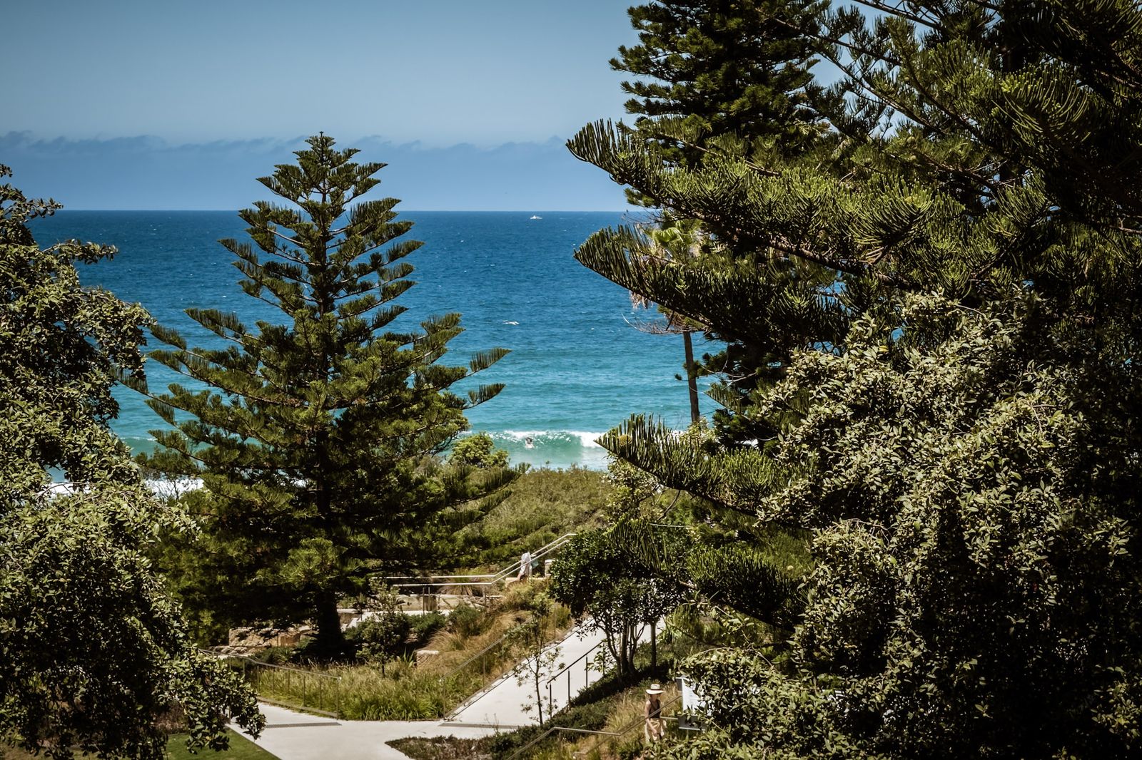View through Norfolk Island pines to the ocean at Freshwater Beach